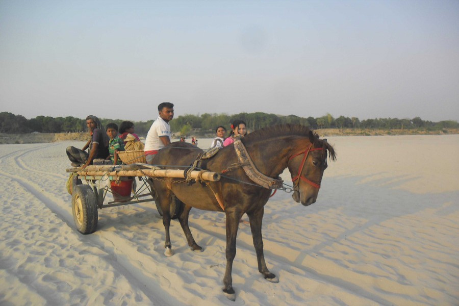 About 25 km of Gorai turns  into sandy land in Magura