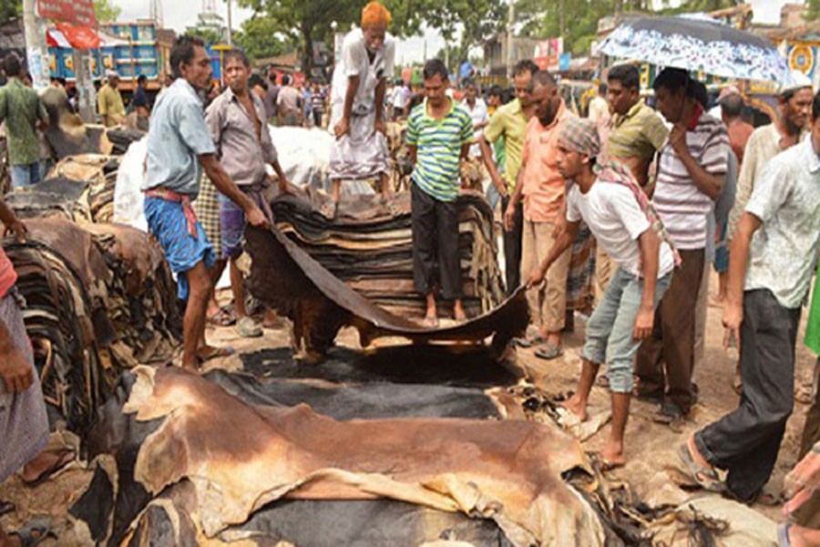 Price slump creates supply crunch of rawhide