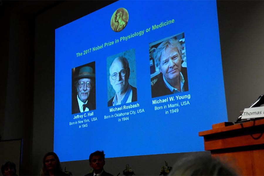 The names of Jeffrey C. Hall, Michael Rosbash and Michael W. Young are displayed during a news conference to announce the winner of the Nobel Prize in Physiology or Medicine 2017, in Stockholm, Sweden on Monday.  -Reuters Photo