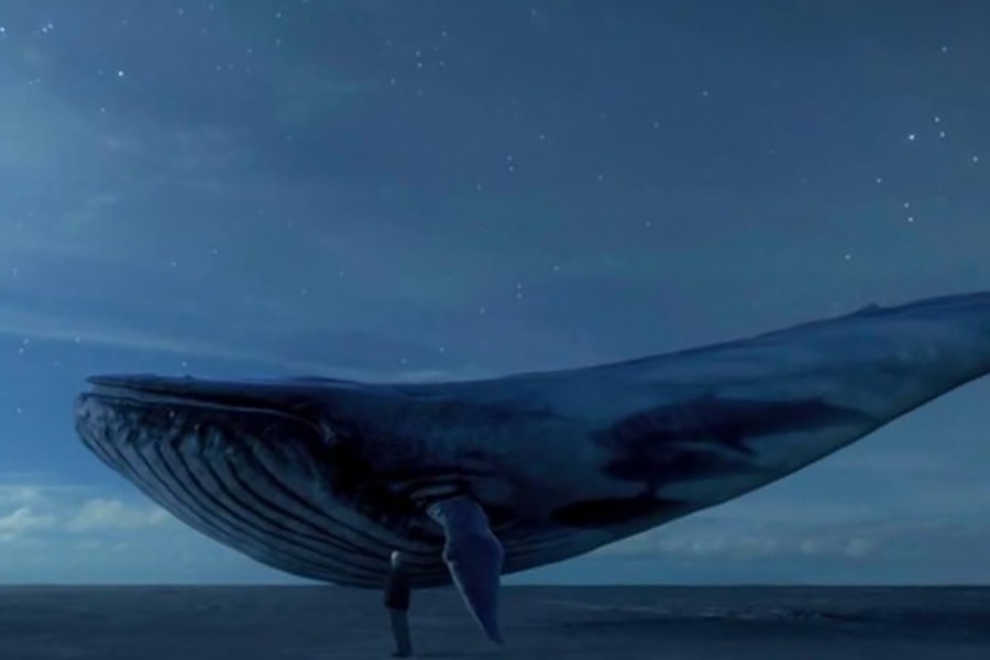 Message on 'Blue Whale' game is hoax: BTRC