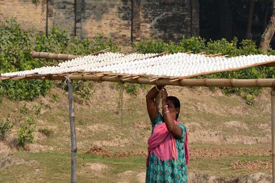 A female artisan dries the home-made Kumrabori in Borai village under Dupchanchia upazila of Bogra district on Tuesday. 	— FE Photo