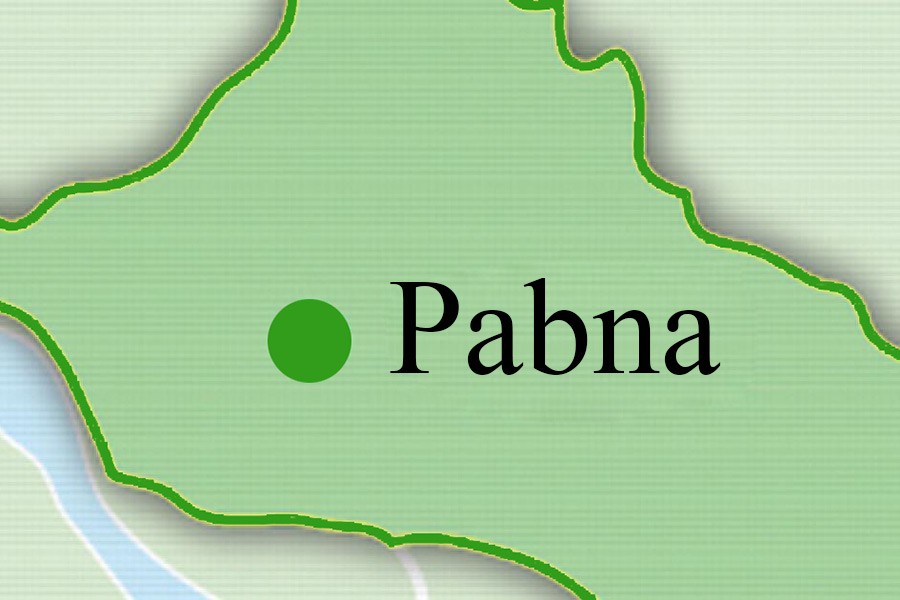 Seven die in Pabna bus accident