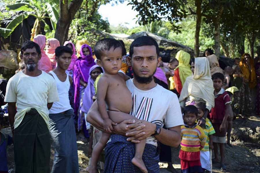 NGOs for relocating Rohingys to save ecosystem