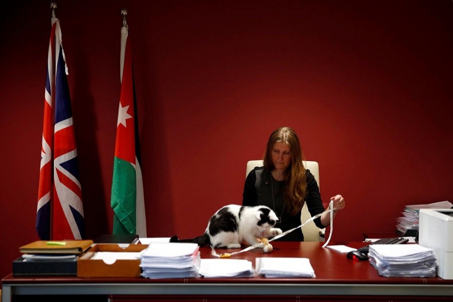 Laura Dauban, deputy ambassador of the United Kingdom to Jordan plays with Lawrence of Abdoun, the first diplo-cat to be appointed by the British Embassy in Jordan, at the embassy headquarters in Amman, Jordan, November 15, 2017. Reuters