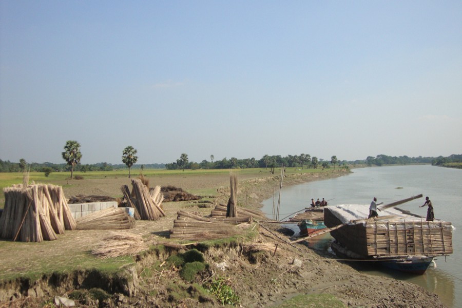 Traders are loading a boat with jute stalks at Jalalabad under Gopalganj Sadar on Wednesday for transportation to different districts across the country. 	— FE Photo