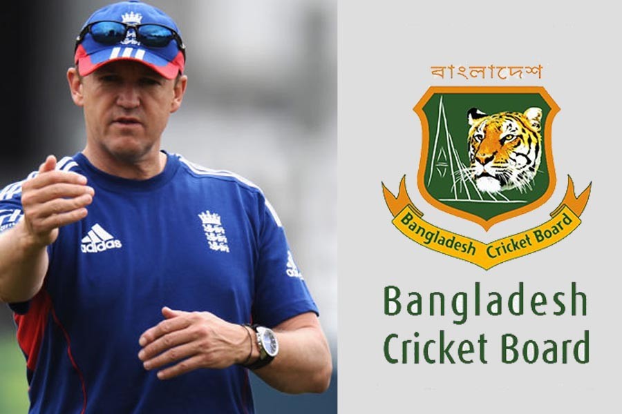 Andy Flower turns down Tigers’ coach position