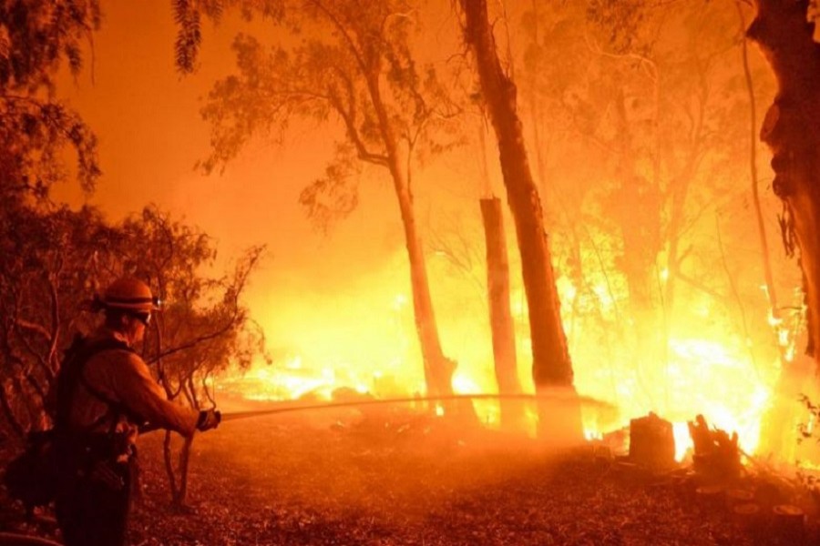 A firefighter battles flames from the Sherpa Fire in Santa Barbara, California, June 16, 2016. Mike Eliason/Santa Barbara County Fire Department/Handout via Reuters