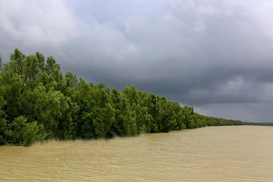 Sundarbans forest employees getting risk allowance