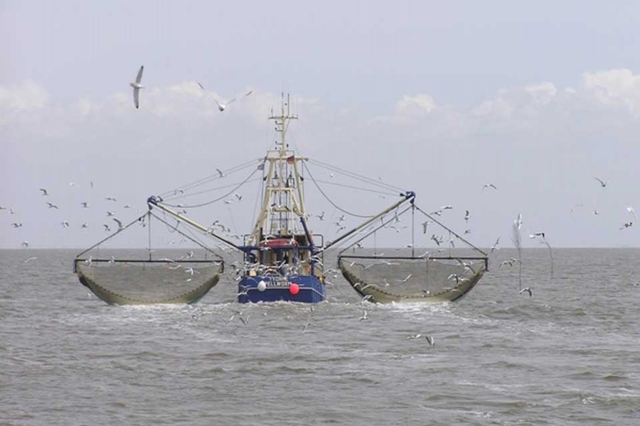 Govt steps up to manage Bay of Bengal fisheries