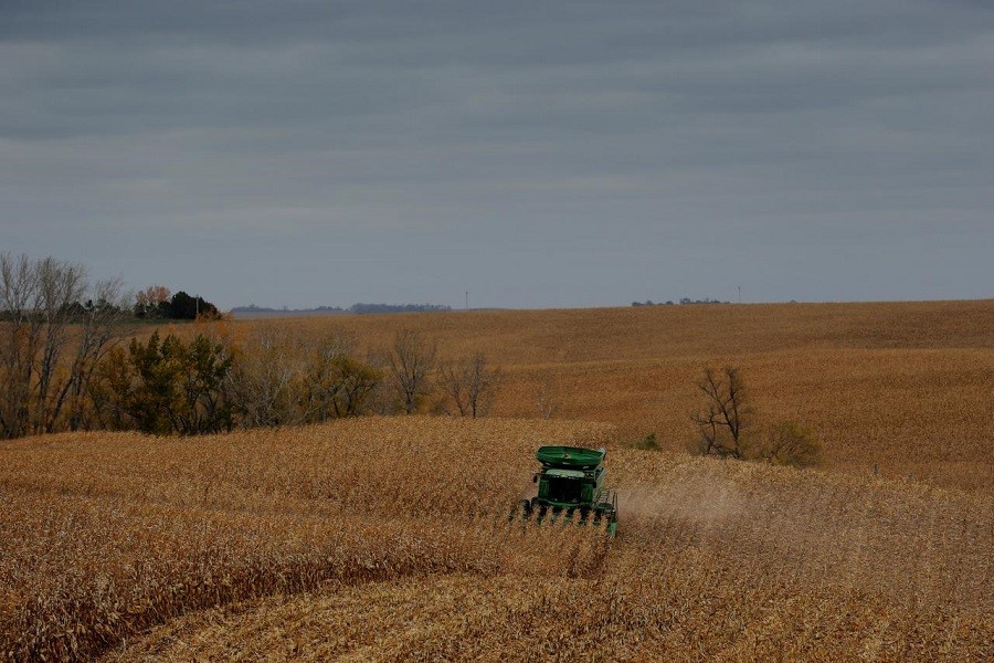 Farmer Blake Erwin drives a combine as he harvests corn on his farm near Dixon, Nebraska, US, October 26, 2017. Reuters/File Photo