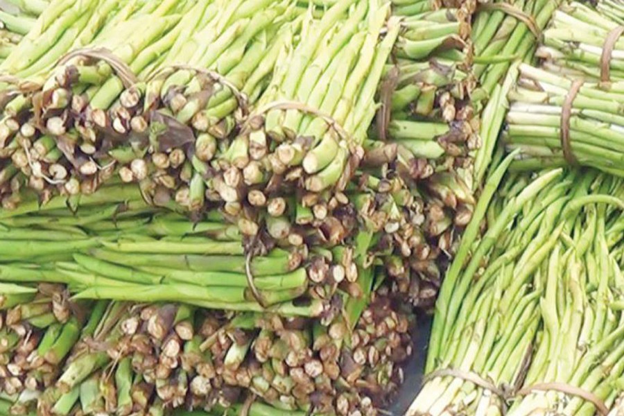 Joypurhat creeper arum farmers make handsome profit