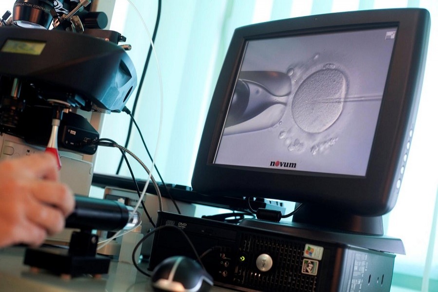 Doctor Katarzyna Koziol injects sperm directly into an egg during in-vitro fertilization (IVF) procedure called Intracytoplasmic Sperm Injection (ICSI) at Novum clinic in Warsaw, Poland October 26, 2010. Reuters/File Photo