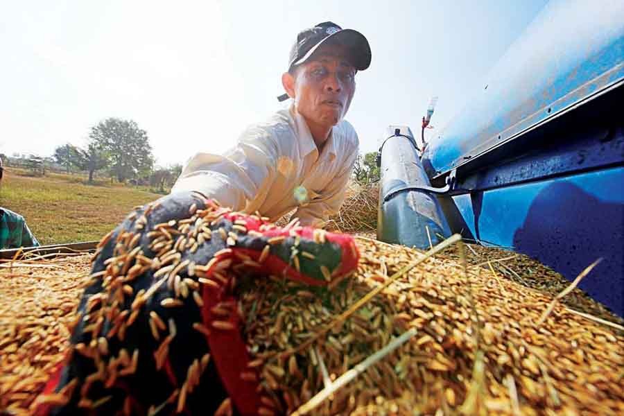 New national agriculture policy   