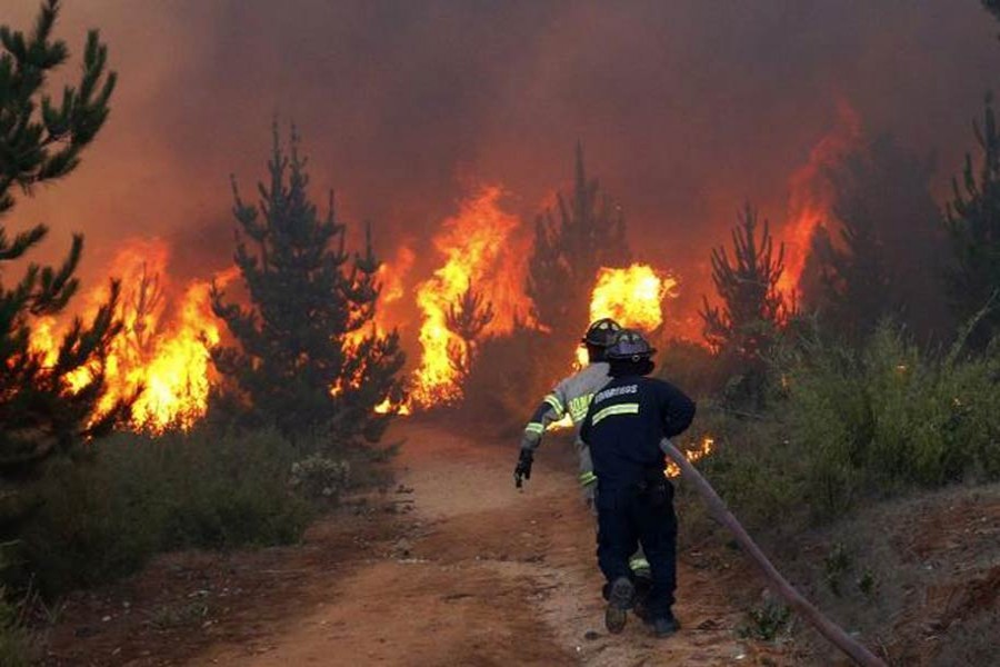 India forest fire death toll rises to 17