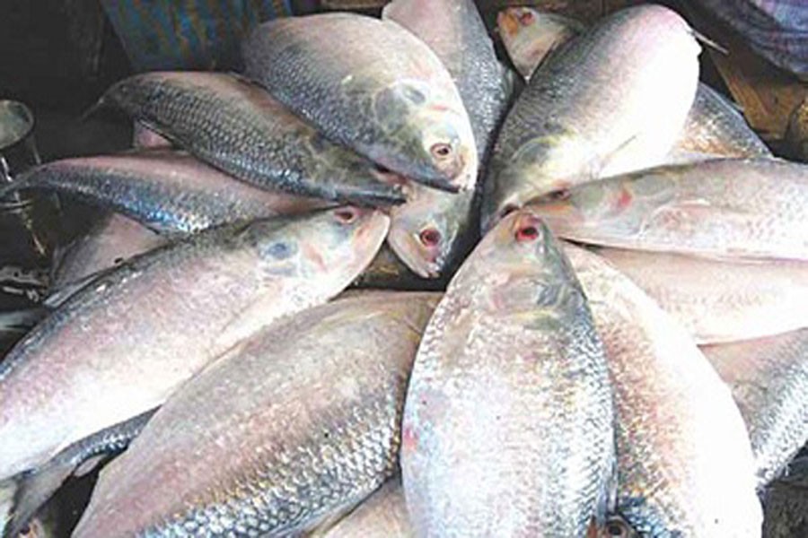 Hilsa, aromatic rice see price hike ahead of Pahela Baishakh