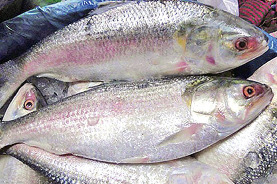 Hilsa gets pricier on Pahela Baishakh celebrations