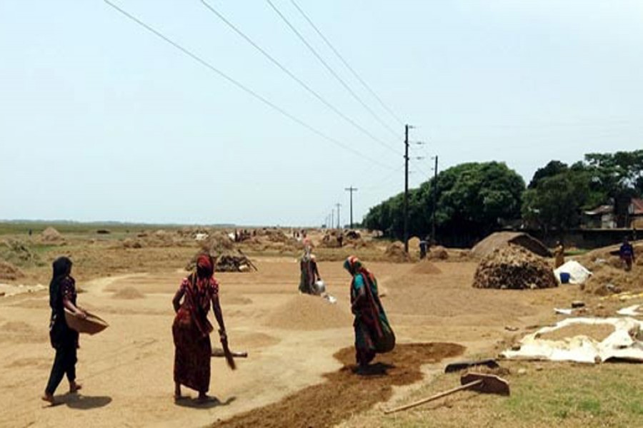 Workers drying the newly-harvested Boro paddy on the premises of a rice mill in Sylhet on Thursday  	— FE Photo