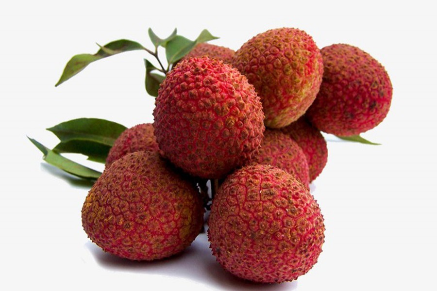 Litchi business reaching peak in Rangpur region