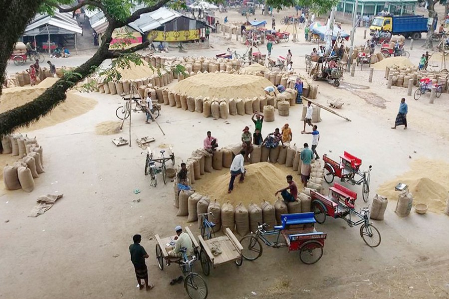 Boro on sale at a wholesale rice market at Dhaphat in Bogura on Sunday  	— FE Photo