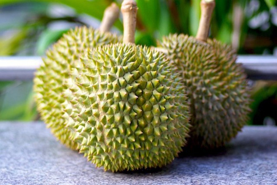 Thailand's space research agency announced plans to send durian to space by July. Internet Photo