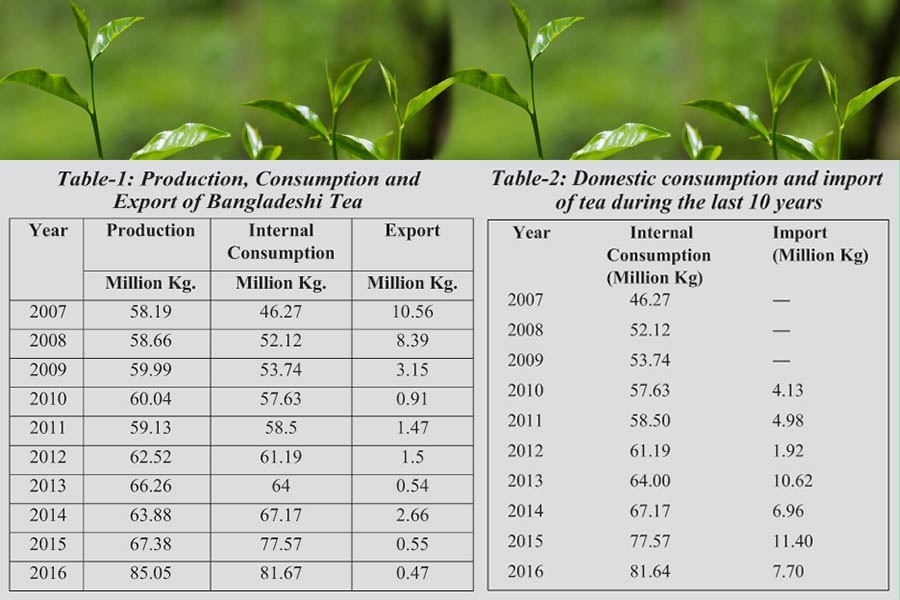 Revitalising the tea sector