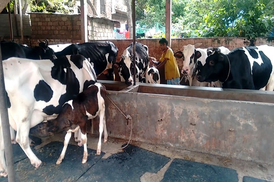 Experts stress fair price of milk