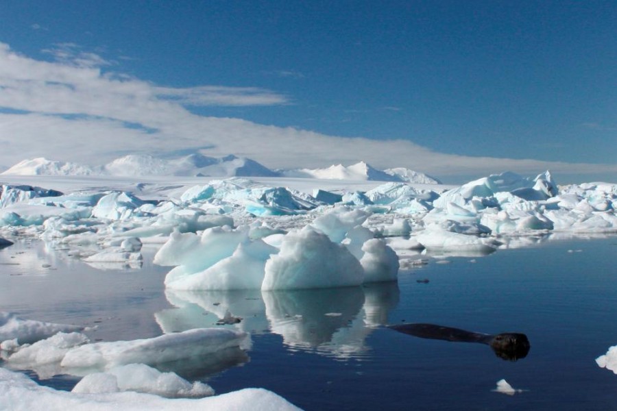 Ice melting in Antarctica speeds up