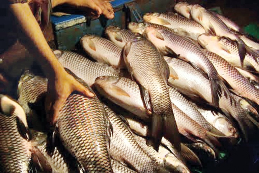 Fish, meat, aromatic rice see price hike ahead of Eid