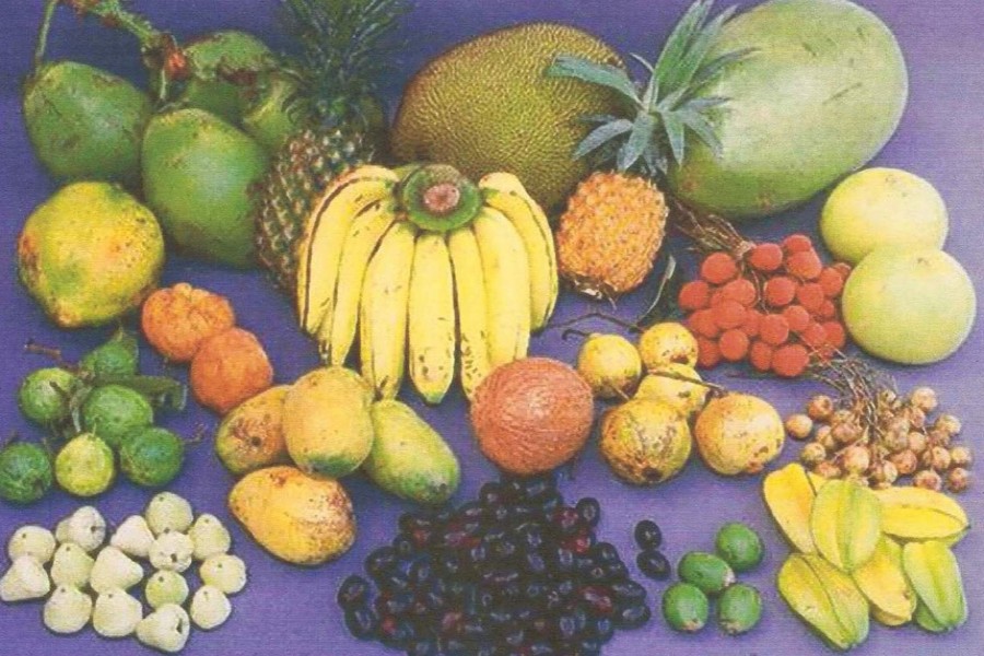 Nat’l Fruit Exhibition begins Friday