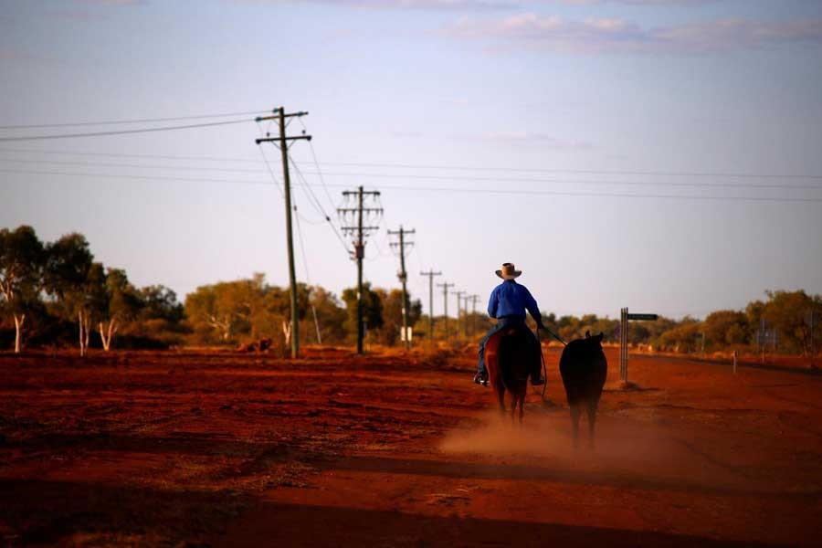 A stockman rides his horse as he leads another down a road towards the cattle yards in the outback town of Windorah, Queensland, Australia, August 11, 2017. Reuters/File Photo