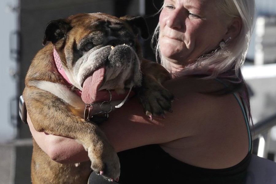 The dog’s owner Megan Brainard of Anoka, Minnesota, will receive $1,500 for Zsa Zsa’s win. AP photo.