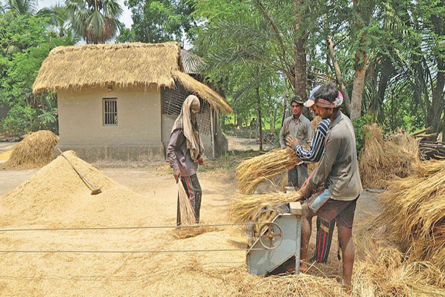 Slow progress in paddy procurement  in Sunamganj, Habiganj