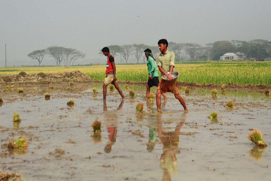 Focus Bangla file photo