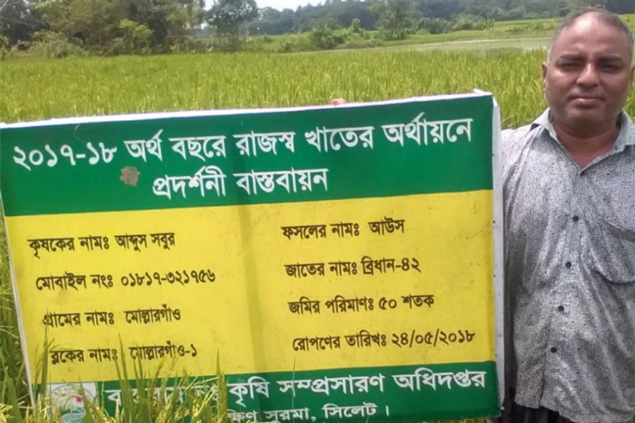 Farmer Abdus Sobur showing a DAE-supported Aus demonstration plot at Mollargaon under South Surma upazila of Sylhet on Tuesday         		— FE Photo