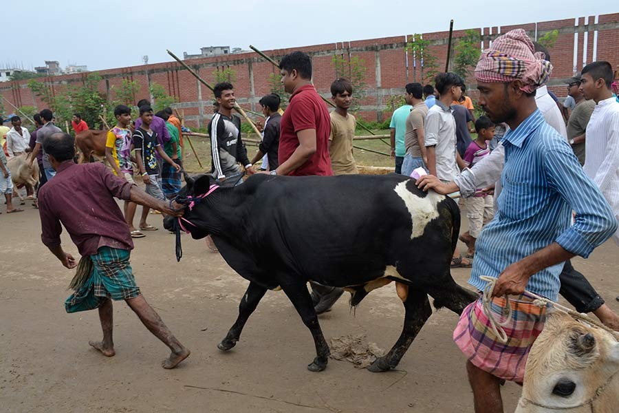 Fraught countdown to Eid-ul-Azha   