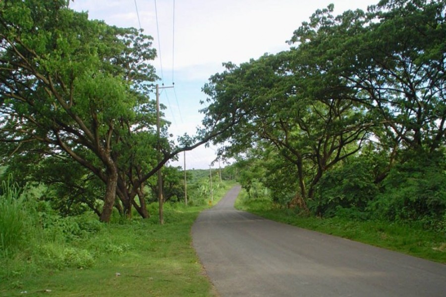 Eco-park, botanical garden in Hathazari on cards