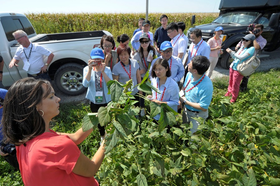 Members of a Chinese trade delegation looking over a soybean field during a tour of the Kaiser farm near Norborne, Missouri, US recently  	— Reuters