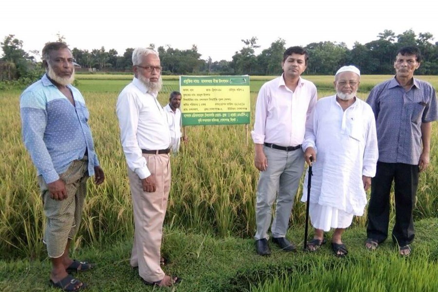 Officials and other guests visiting a demonstration paddy field of DAE in Golapganj upazila in Sylhet recently  	— FE Photo