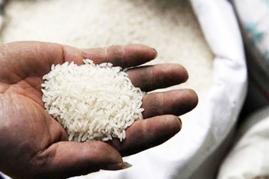 Export price of Indian rice  hits 17-month low