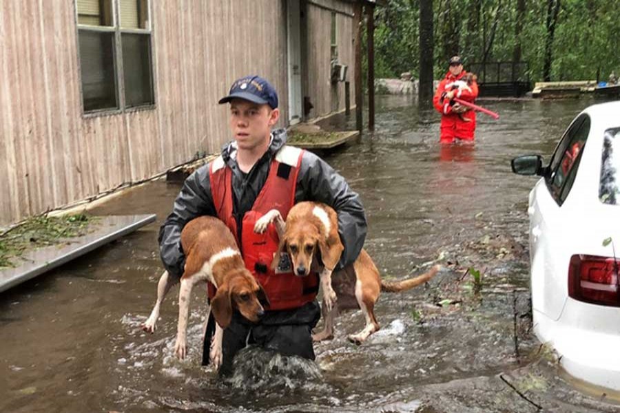 Members of Coast Guard Shallow-Water Response Boat Team 3 help pets stranded by floodwater caused by Hurricane Florence near Riegelwood, North Carolina, US Sept 16, 2018. US Coast Guard Handout via Reuters