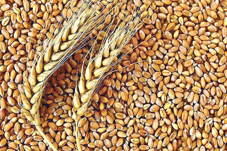 Surging global prices likely to push up wheat import cost