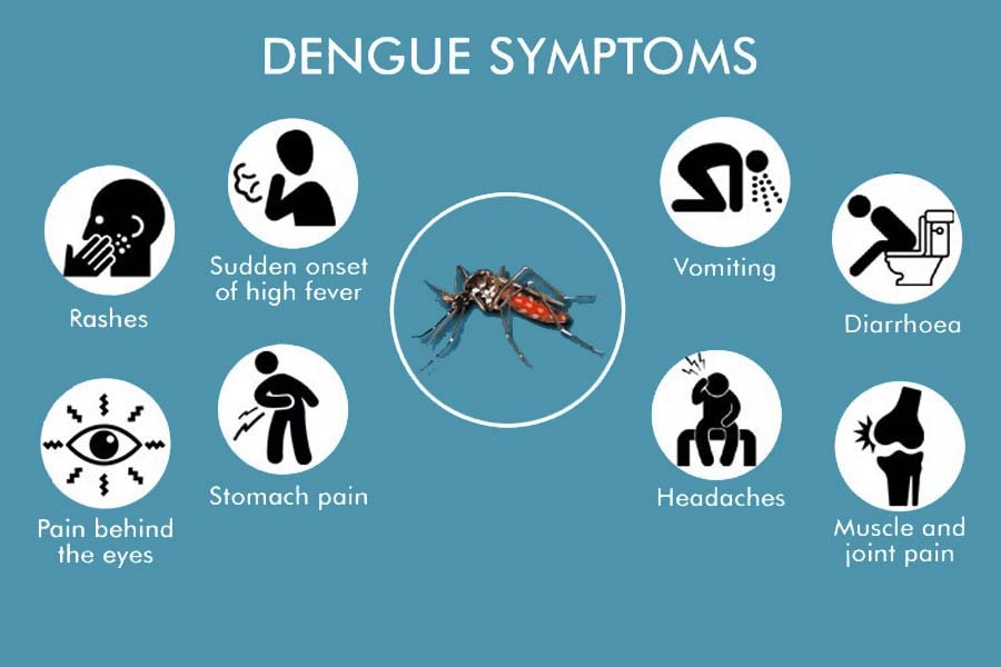 Punjab health department starts campaign on dengue