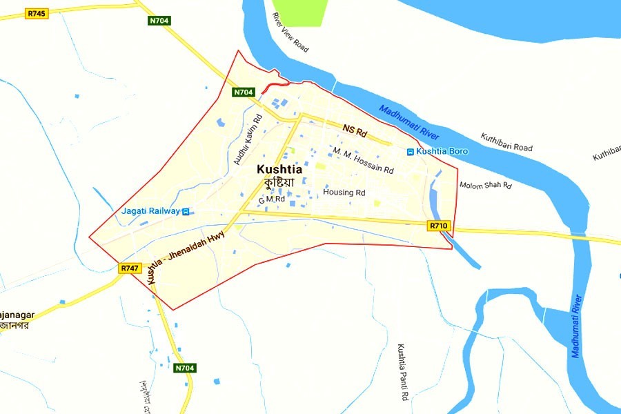 ‘Addict’ son hacks mother dead in Kushtia