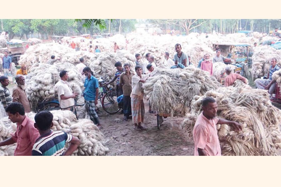 A view of a jute wholesale market under Sonatola upazila in Bogura   	— FE Photo