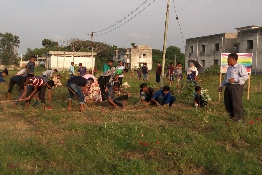 Teachers and students working in the field on the premises of Agriculture Training Institute, Jhenidah recently      	— FE Photo