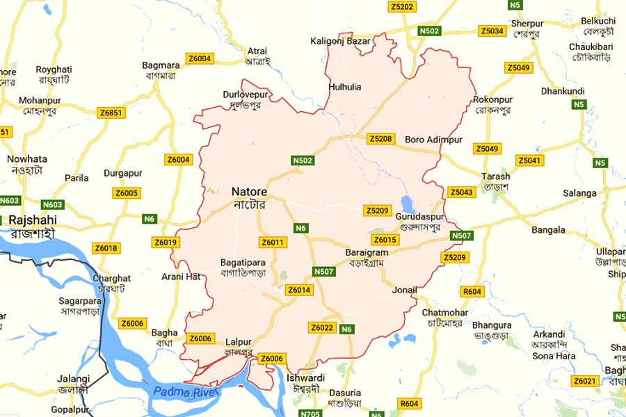 Acid attack leaves housewife burnt in Natore