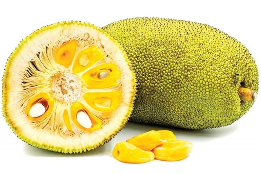 Processed jackfruit products now on export list