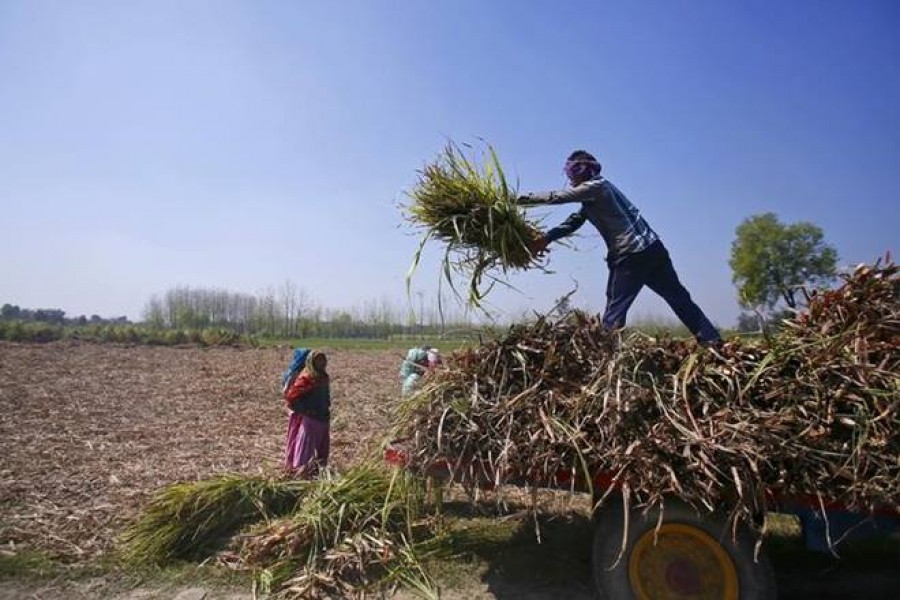 People behind Bangladesh's progress   