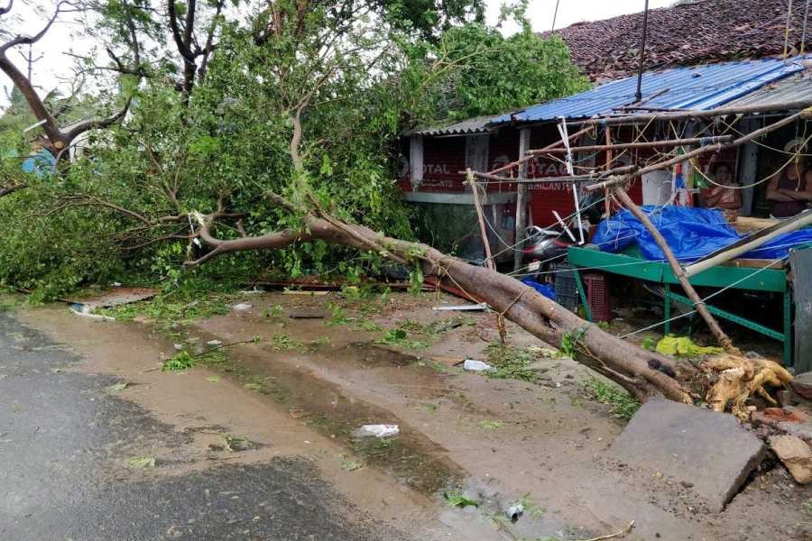 The aftermath of cyclone Gaja is seen in Tamil Nadu, India November 16, 2018 in this picture obtained from social media - Shabbir Ahmed /via Reuters