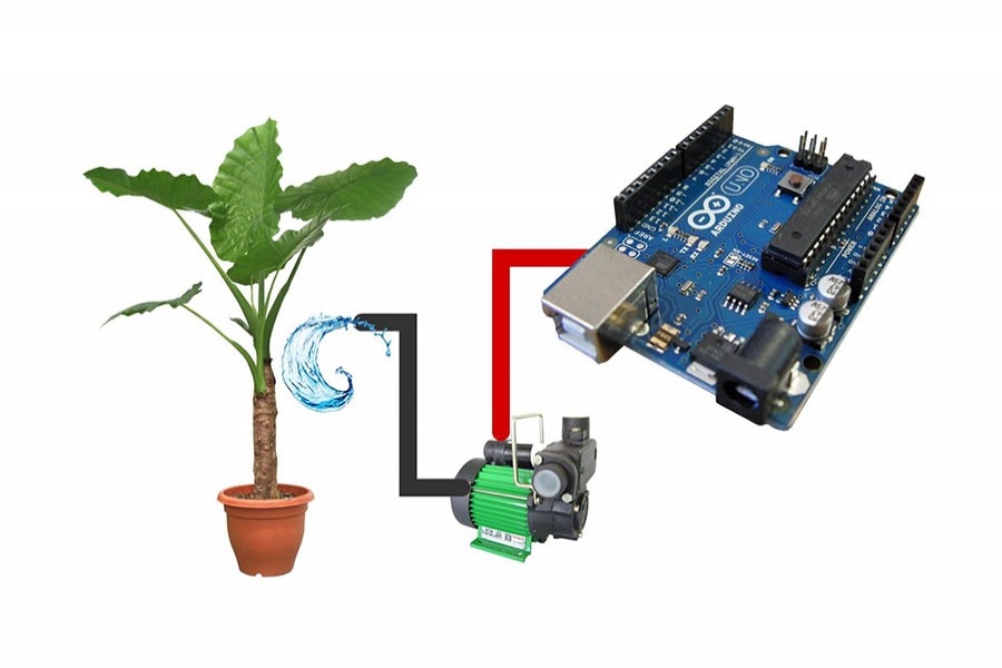 Representation of an automatic watering system for plants